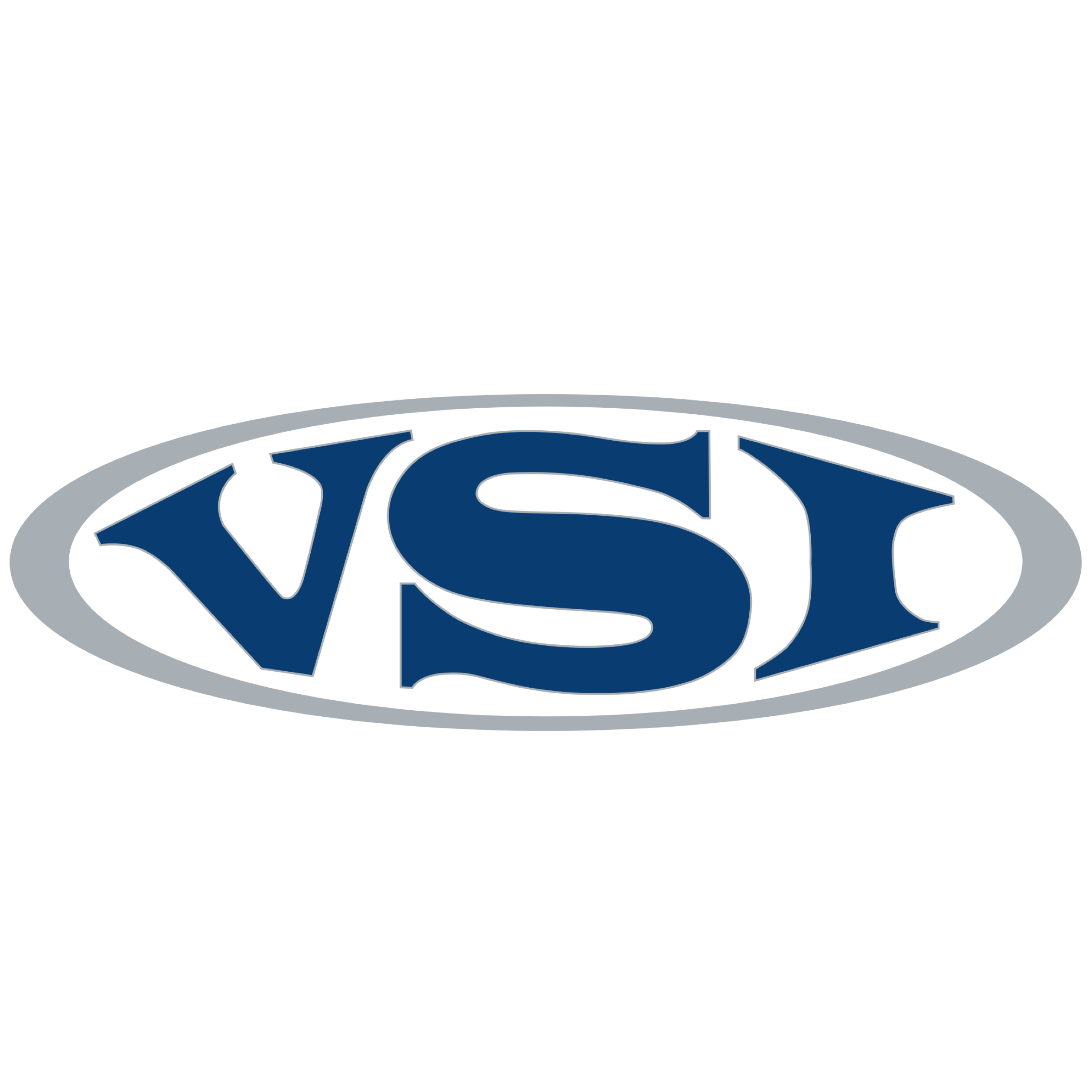 Veterinary Service, Inc. (VSI) logo